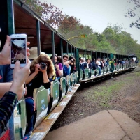 Tren ecológico de la Selva Iguazú